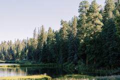 Avery-and-Caed-452_websize